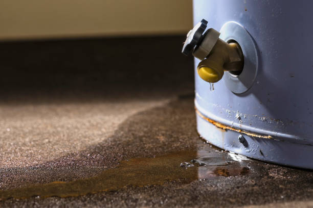 Best Water damage cleanup near me  in Oxford, MS