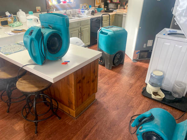Best Water damage cleanup near me  in Oxford, MS