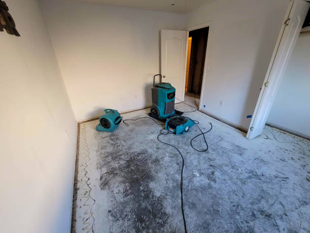 Best 24/7 water damage repair  in Oxford, MS