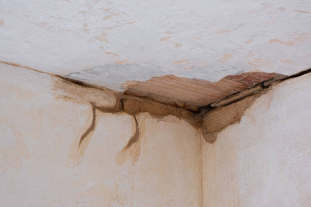 Best Commercial water damage restoration  in Oxford, MS