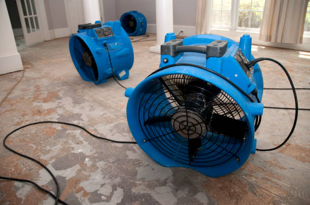 , MS Water damage restoration Company