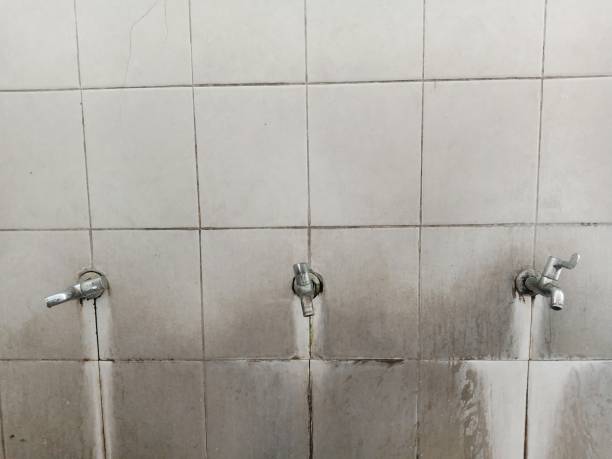 Best Basement water damage restoration  in Oxford, MS
