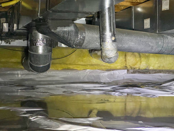Best Ceiling water damage repair  in Oxford, MS