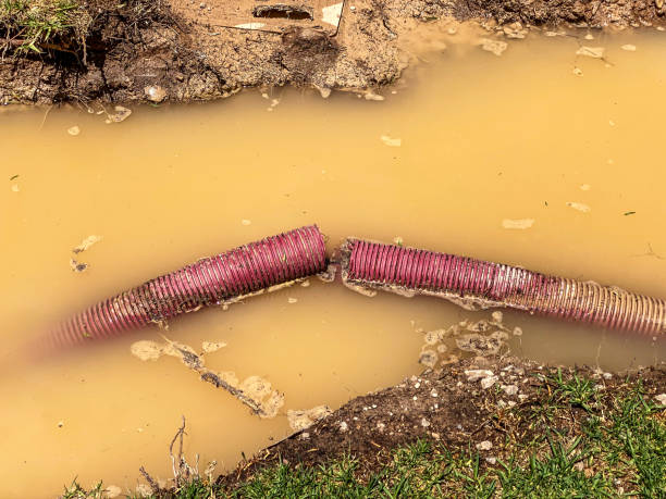 Best Mold removal after water damage  in Oxford, MS
