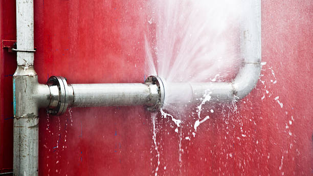 Best Professional water damage repair  in Oxford, MS